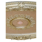 Golden Rocaille Oval Chandelier Ceiling Medallion - image 18