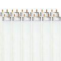 Luxrite Tube fluorescent T8 48 pouces 32 W 6500 K Lumière du jour 2800 lumens Culot G13 moyen à deux broches Paquet de 12 - 6500 K (Lumière du jour)