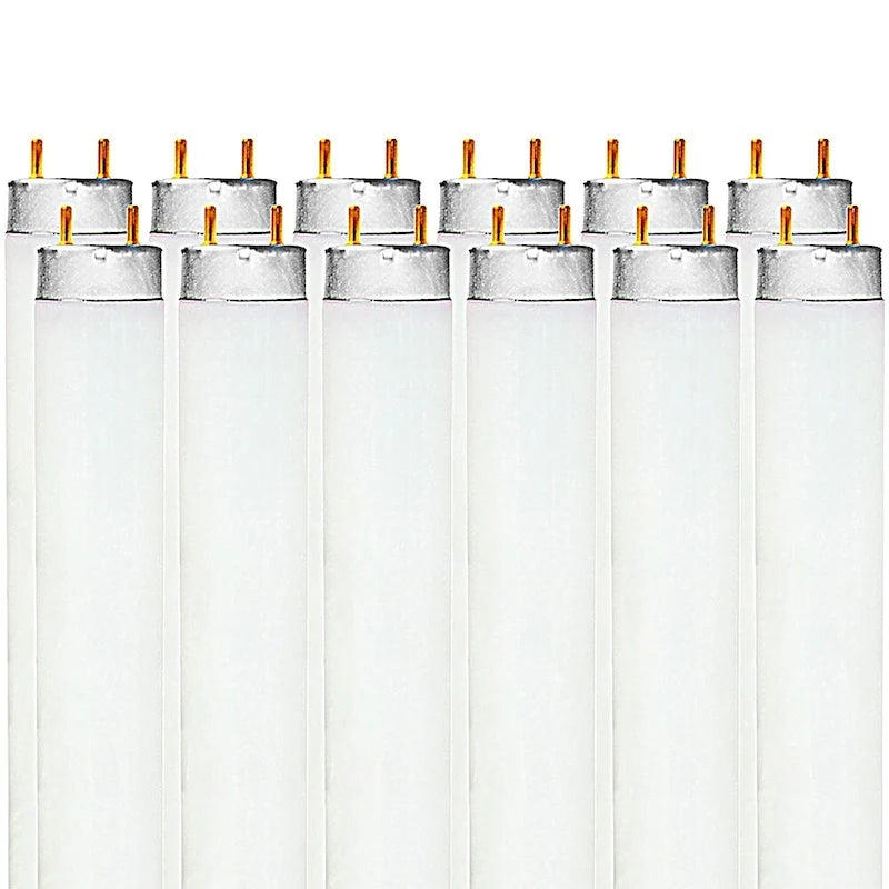 Luxrite 48 Inch T8 Fluorescent Tube Light Bulb 32W 6500K Daylight 2800 Lumens G13 Medium Bi-Pin Base 12-Pack - 6500K (Daylight) - image 1