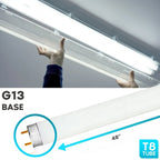 Luxrite 48 Inch T8 Fluorescent Tube Light Bulb 32W 6500K Daylight 2800 Lumens G13 Medium Bi-Pin Base 12-Pack - 6500K (Daylight) - image 3