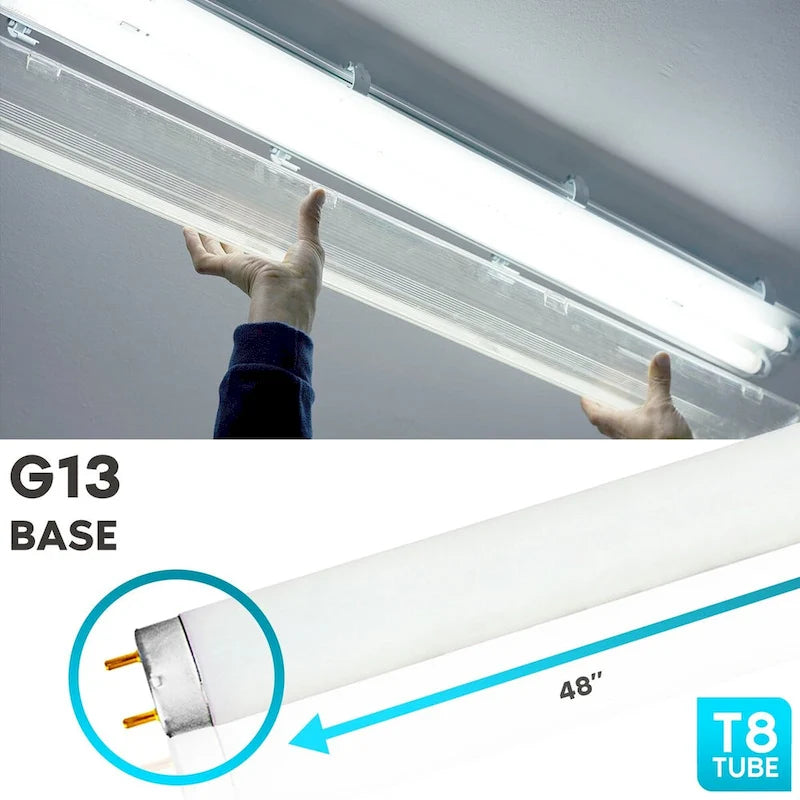 Luxrite 48 Inch T8 Fluorescent Tube Light Bulb 32W 6500K Daylight 2800 Lumens G13 Medium Bi-Pin Base 12-Pack - 6500K (Daylight) - image 3
