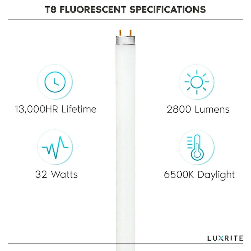Luxrite 48 Inch T8 Fluorescent Tube Light Bulb 32W 6500K Daylight 2800 Lumens G13 Medium Bi-Pin Base 12-Pack - 6500K (Daylight) - image 4