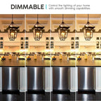Luxrite 5W Vintage Candelabra LED Bulbs Dimmable, 550 Lumens, 60W Equivalent, Clear Glass, E12 Base (24 Pack) - image 19