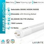 Glass Luxrite 12-Pack 3FT T8 LED Tube Light, 12W=25W, 3 Color Option, Single and Double End Powered, 1560 Lumens, UL, DLC - 12 - image 7